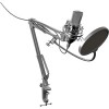 Проводной микрофон Ritmix RDM-169